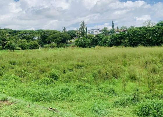 Overgrown Nadi field need urgent attention&nbsp;