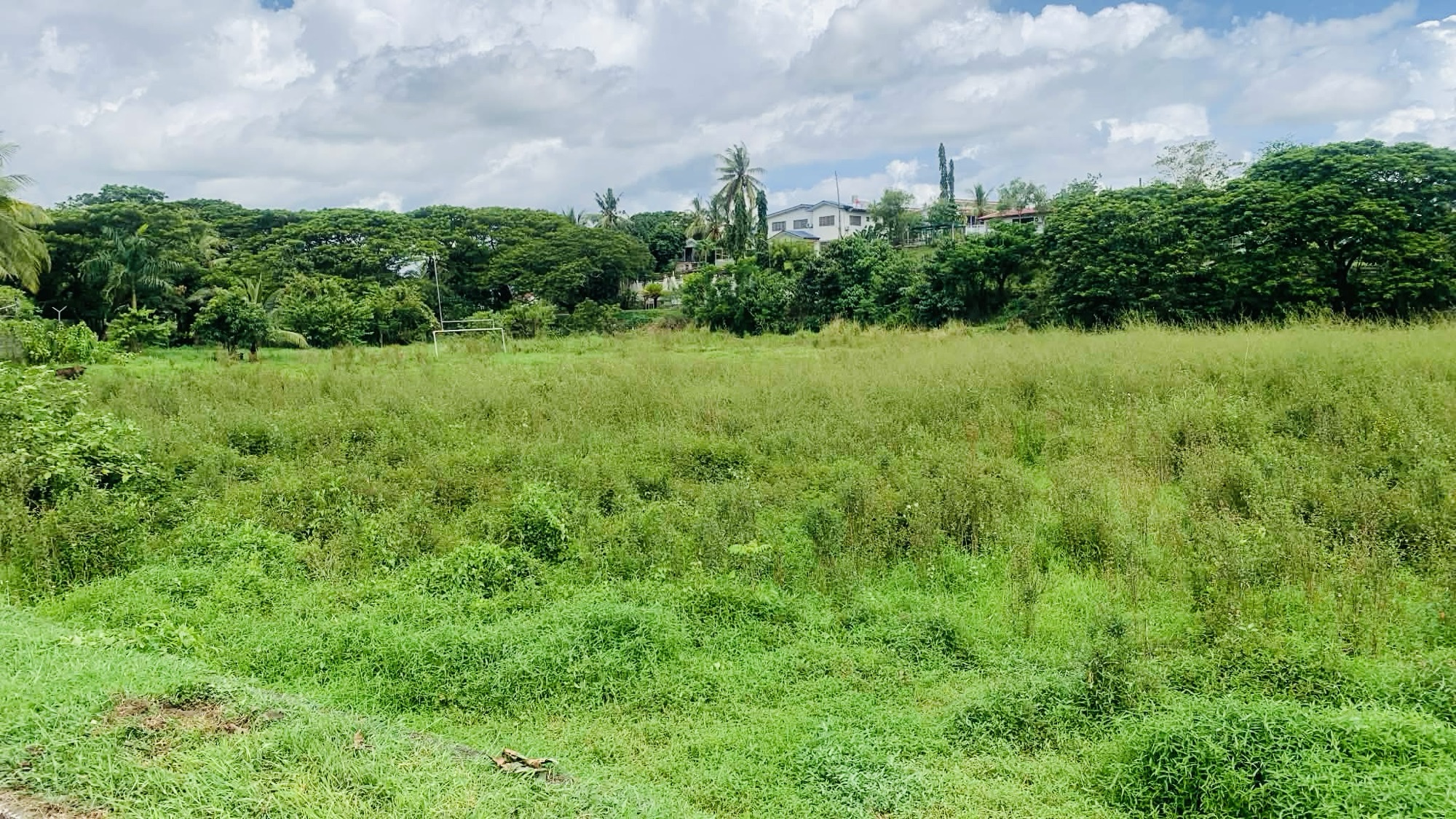Overgrown Nadi field need urgent attention&nbsp;