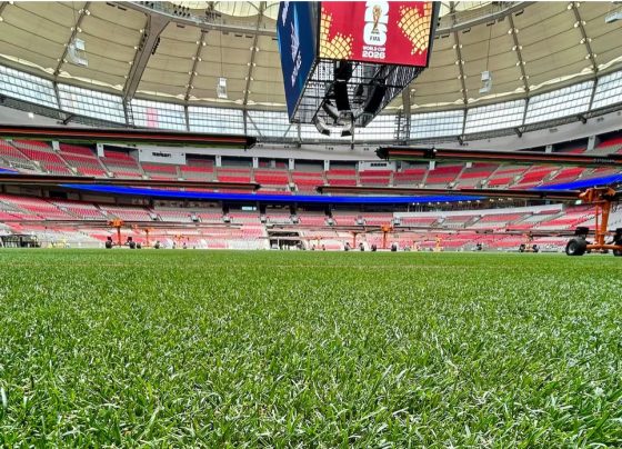 BC Place unveils World Cup upgrades as natural grass pitch takes centre stage