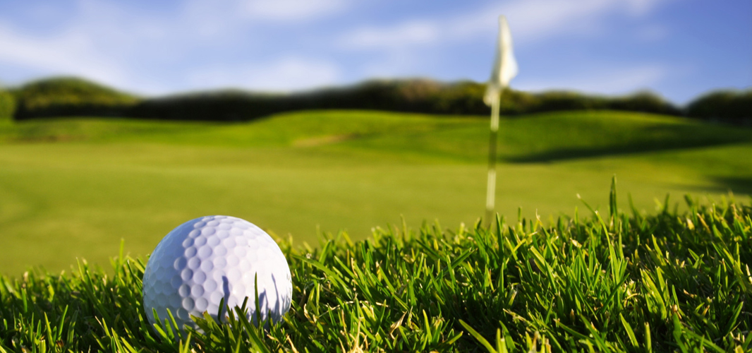 You reap what you sow: Ali